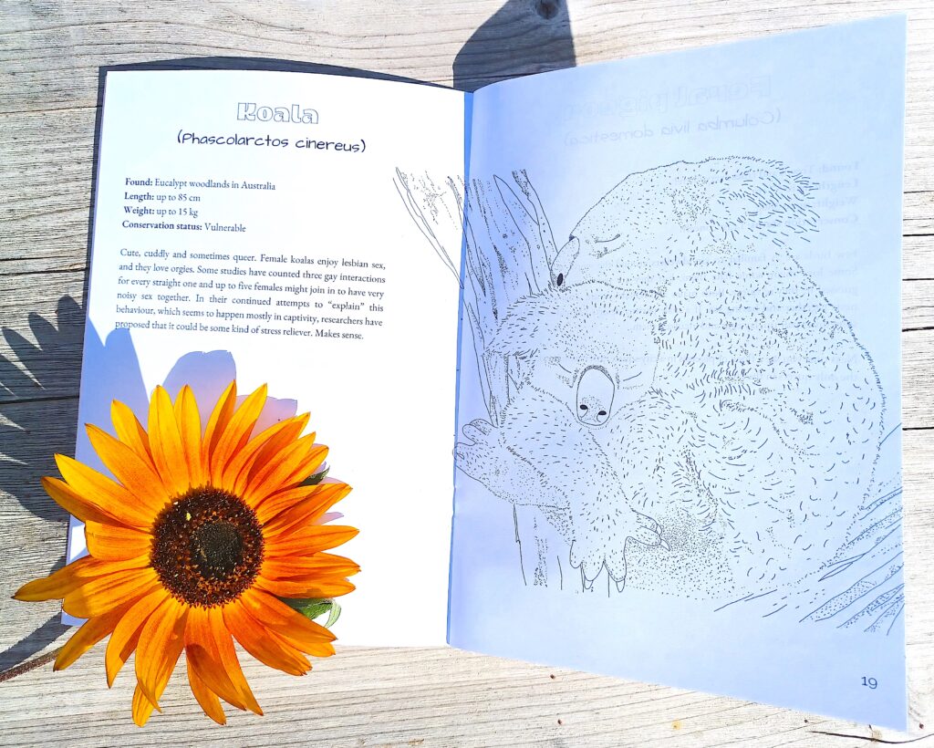 Queer Animals Colouring Zine supporting Solidarity Apothecary