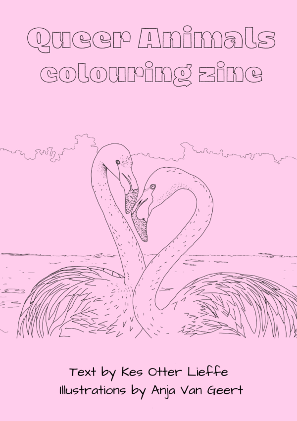 Queer Animals Colouring zine by author of trans speculative fiction, Kes Otter Lieffe. Illustrated by Anja Van Geert. This, the second edition of the colouring zine celebrates the diversity of animals and our beautiful queer communities.