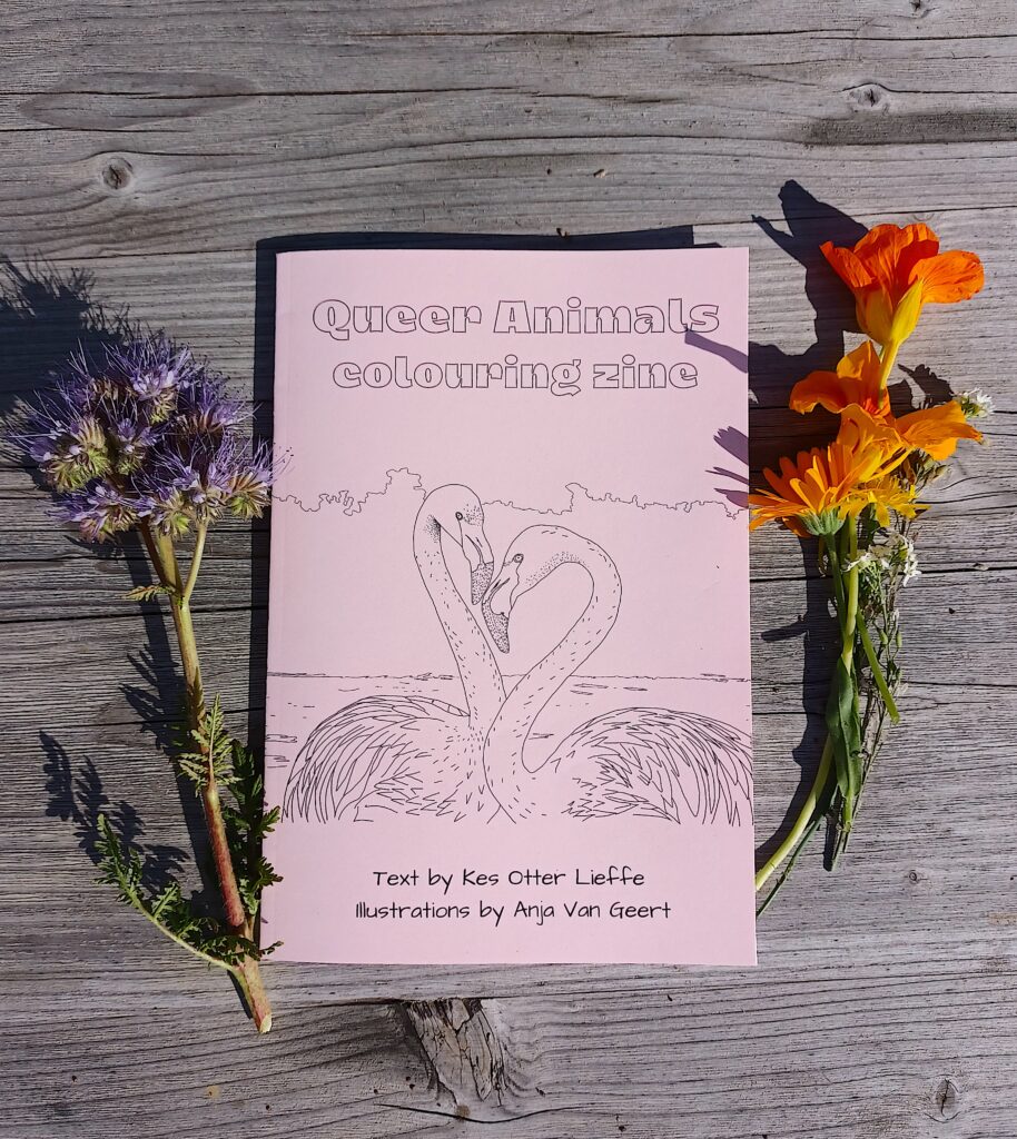 Queer Animals Colouring Zine - supporting Solidarity Apothecary