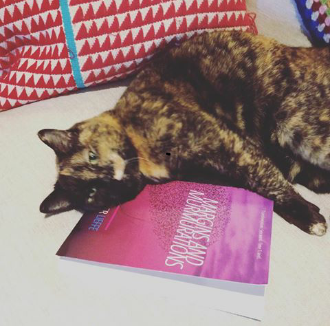 Photo of a cat with a copy of Margins and Murmurations - a utopian trans speculative fiction novel with trans, queer, sex worker and nonbinary characters
