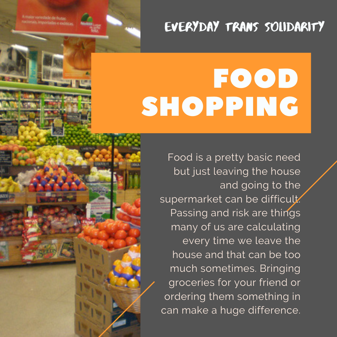 Everyday Trans Solidarity image by Charlie, and trans author, Kes Otter Lieffe. Text reads: Food shopping. Food is a pretty basic need but just leaving the house can be difficult. Passing and risk are things many of us are calculating every time we leave the house and that can be too much sometimes. Bringing groceries for your friend or ordering them something in can make a huge difference.