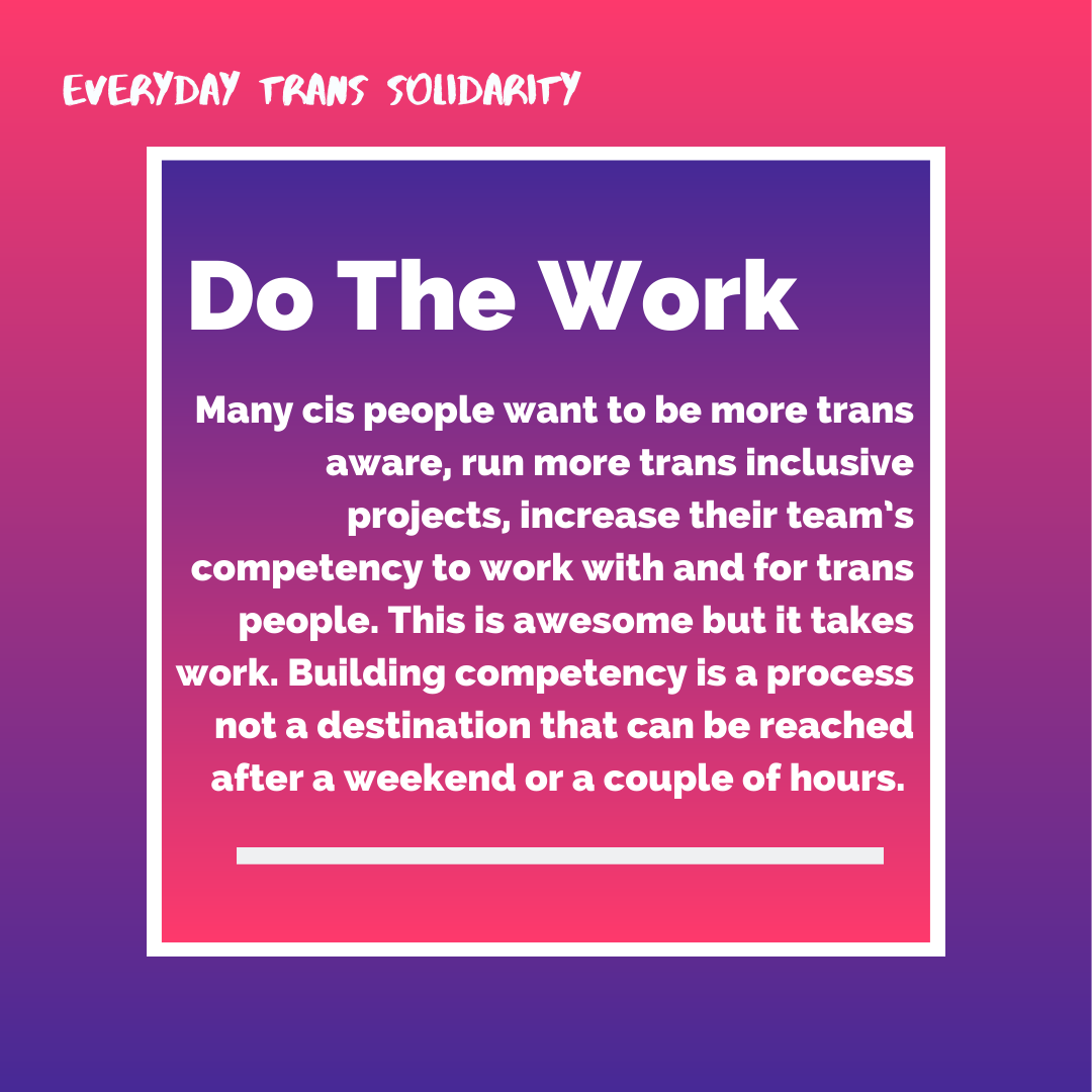 Everyday Trans Solidarity image by Charlie, and trans author, Kes Otter Lieffe. Text reads: Do the work. Many cis people want to be more trans aware, run more trans-inclusive projects, increase their team's competency to work with and for trans people. This is awesome but it takes work. Building competency is a process not a destination that can be reached after a weekend or a couple of hours.