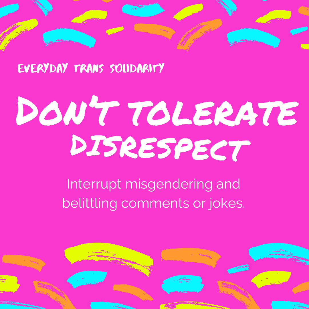Everyday Trans Solidarity image by Charlie, and trans author, Kes Otter Lieffe. Text reads: Don't tolerate disrespect. Interrupt misgendering and belittling comments or jokes.