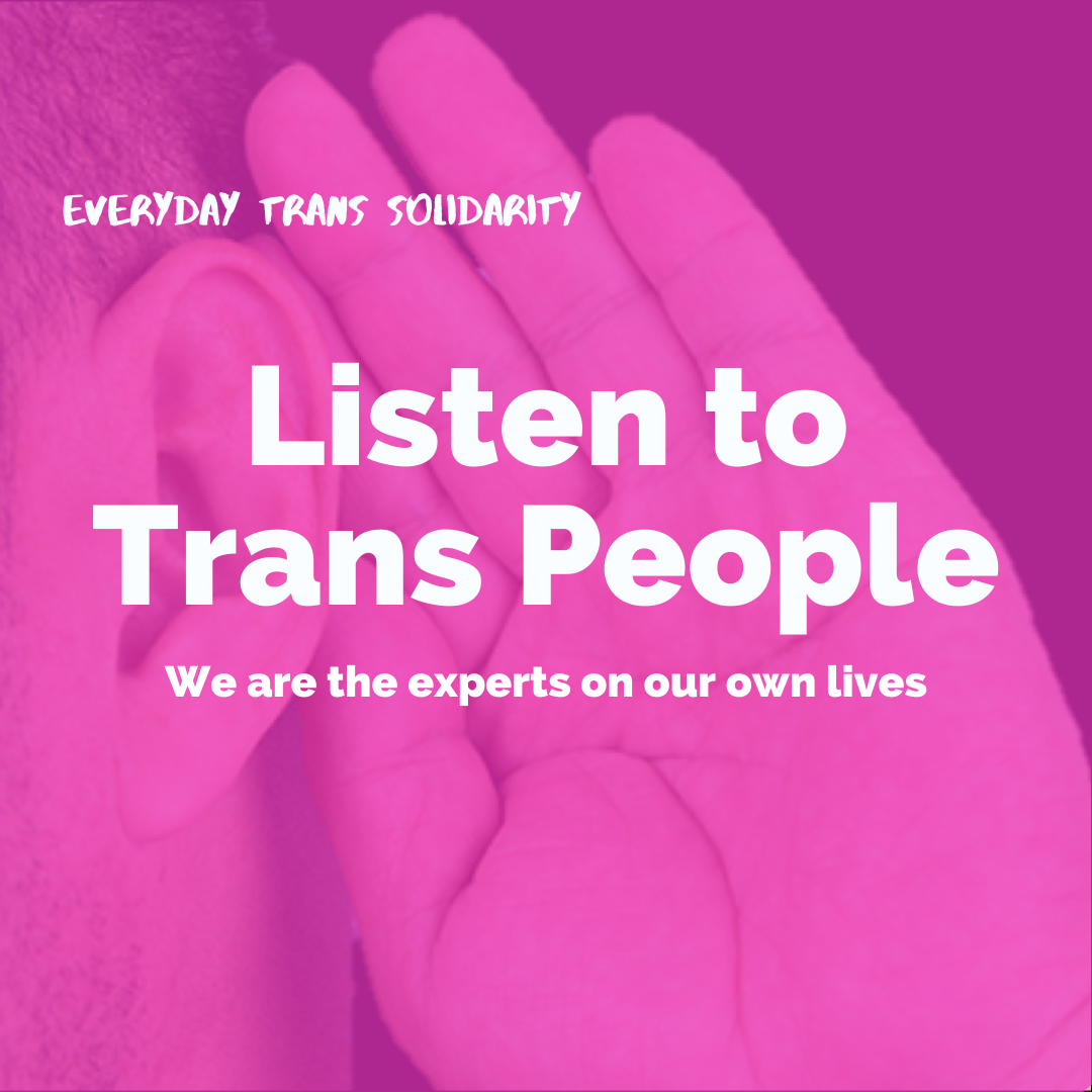 Everyday Trans Solidarity image by Charlie, and trans author, Kes Otter Lieffe. Text reads: Listen to trans people. We are the experts on our own lives