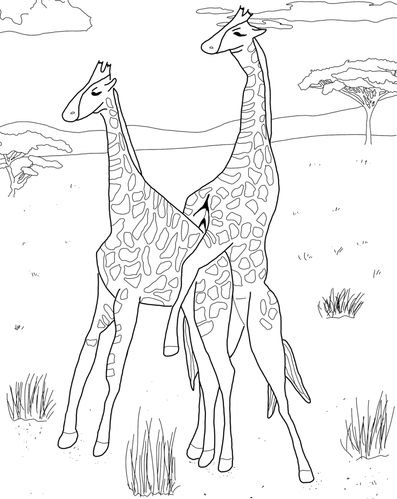 Gay giraffes illustration from Queer Animals Coloring zine. Written by author of trans speculative fiction, Kes Otter Lieffe. Illustrated by Anja Van Geert. This coloring zine celebrates the diversity of animals and our beautiful queer communities.