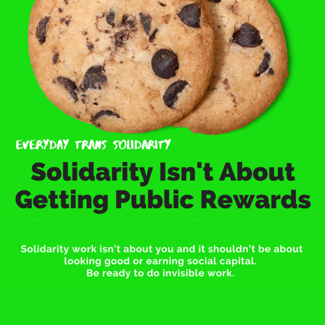 Everyday Trans Solidarity image by Charlie, and trans author, Kes Otter Lieffe. Text reads: Solidarity isn't about getting public rewards. Solidarity work isn't about you and it shouldn't be about looking good or earning social capital. Be ready to do invisible work.