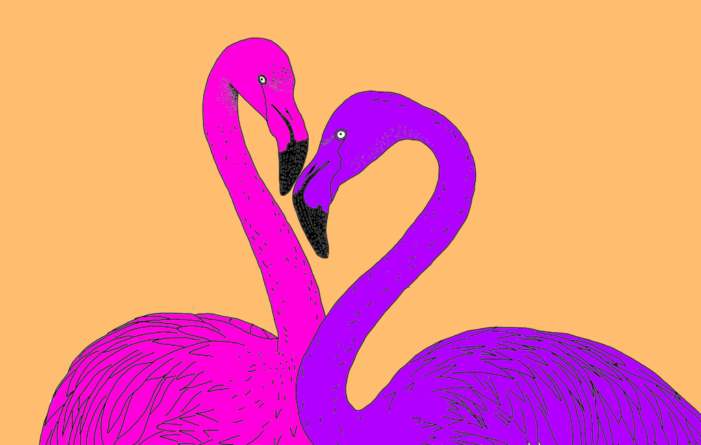 Queer Flamingos illustration from Queer Animals Coloring zine. Written by author of trans speculative fiction, Kes Otter Lieffe. Illustrated by Anja Van Geert. This coloring zine celebrates the diversity of animals and our beautiful queer communities.
