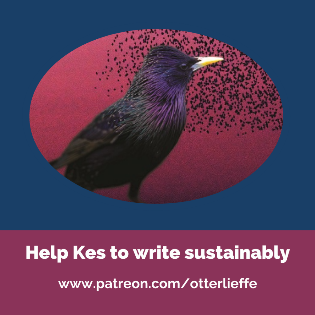 Help Kes to write sustainably. Support Kes Otter Lieffe, author of Queer and Trans Speculative Fiction, on Patreon