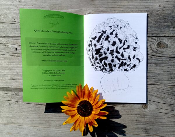 Queer Plants Colouring zine by author of trans speculative fiction, Kes Otter Lieffe. Illustrated by Anja Van Geert. This, the second zine in the series celebrates the diversity of plants (and fungi) and our beautiful queer communities.