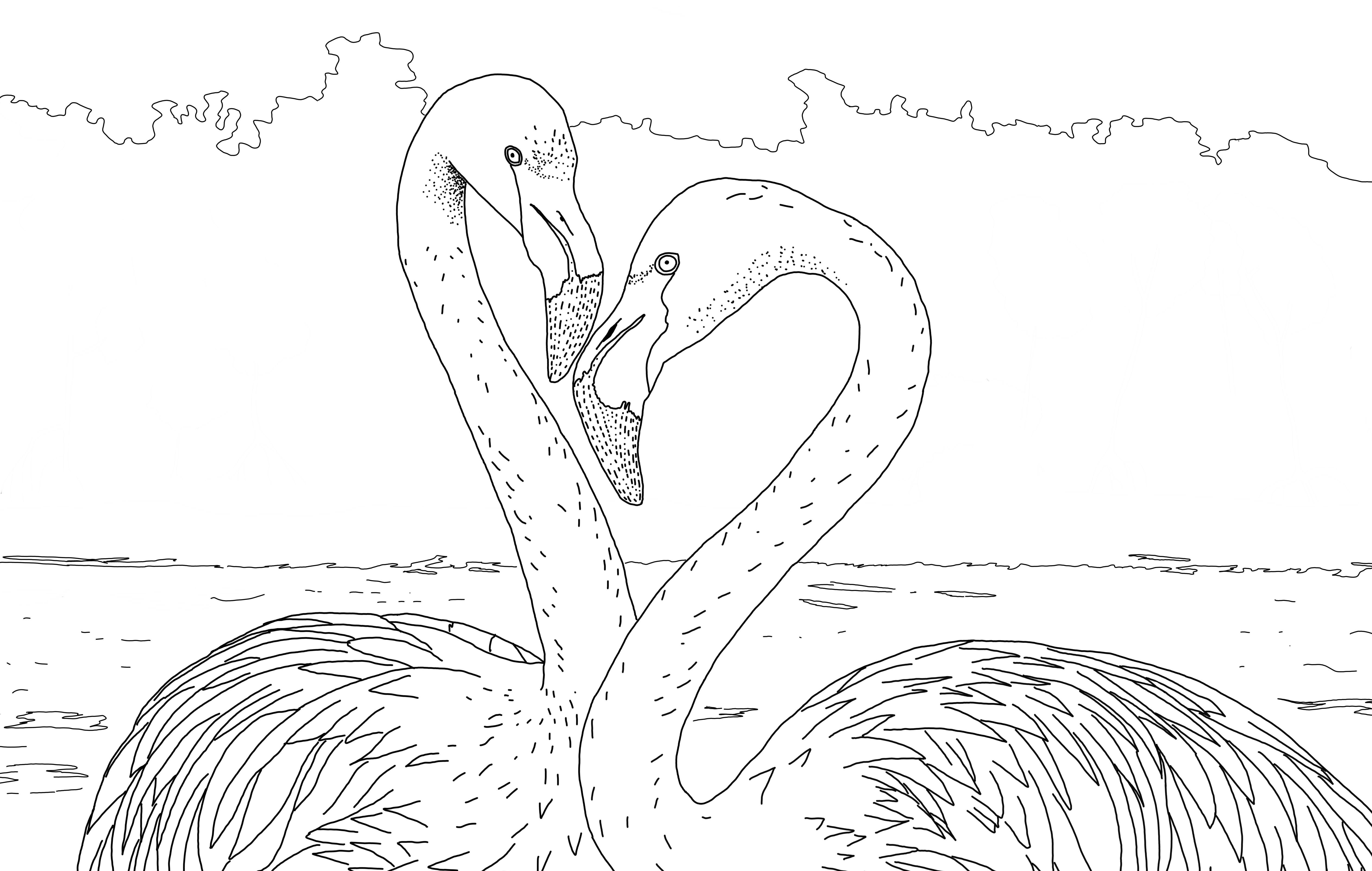 Queer Flamingos illustration from Queer Animals Coloring zine. Written by author of trans speculative fiction, Kes Otter Lieffe. Illustrated by Anja Van Geert. This coloring zine celebrates the diversity of animals and our beautiful queer communities.