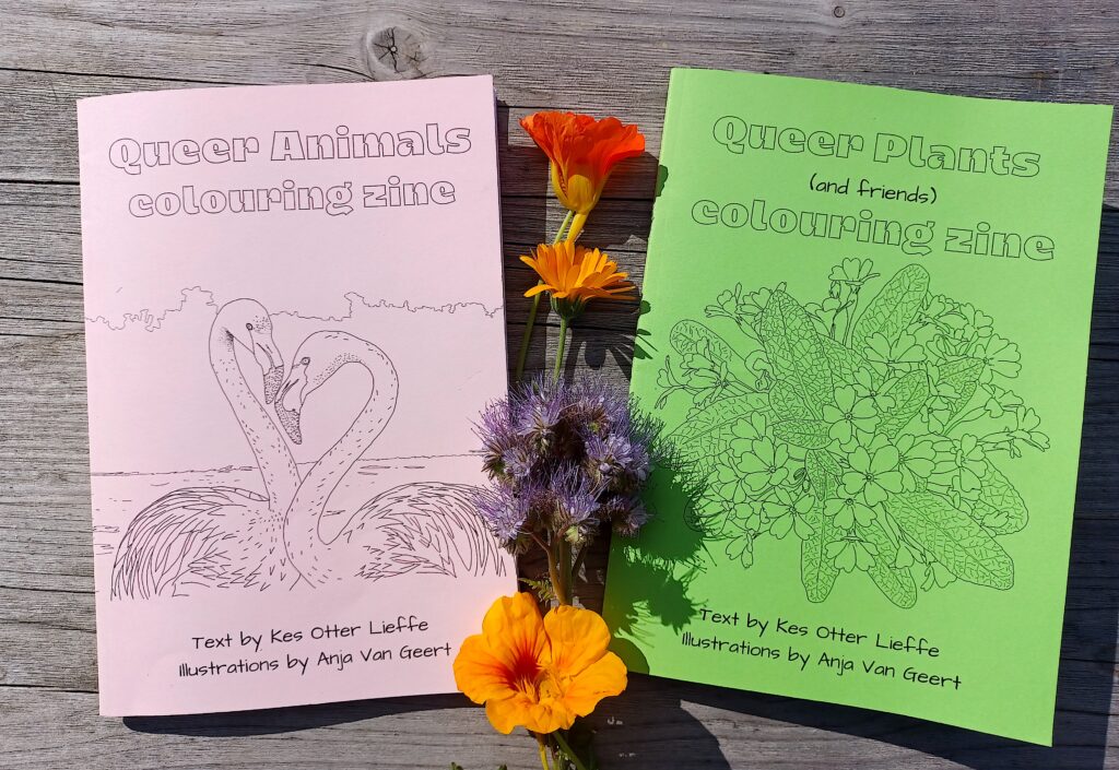 Queer Animals Colouring Zine and Queer Plants Colouring Zine by author of trans speculative fiction, Kes Otter Lieffe. Illustrated by Anja Van Geert. Celebrating the diversity of nature and our beautiful queer communities.