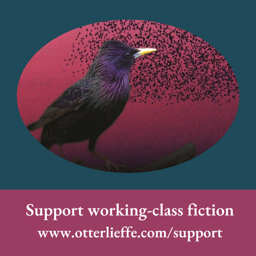 Oval frame of a European Starling facing right in front of a background of other starlings in a murmuration. There is a dark teal background and a wine background. Text reads "Support working-class fiction. www.otterlieffe.com/support